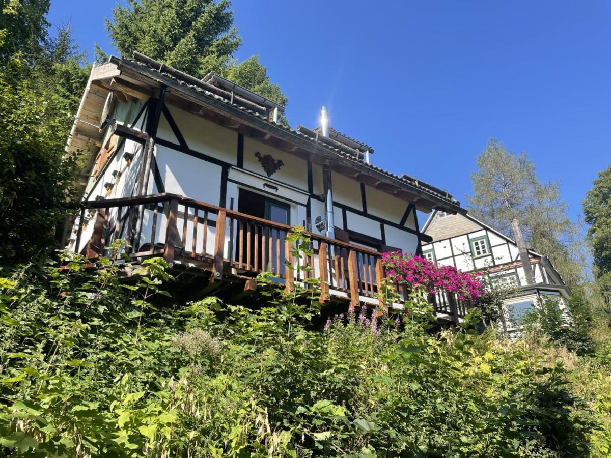 Jagthaus Am Rappelstein Villa Schmallenberg Kültér fotó