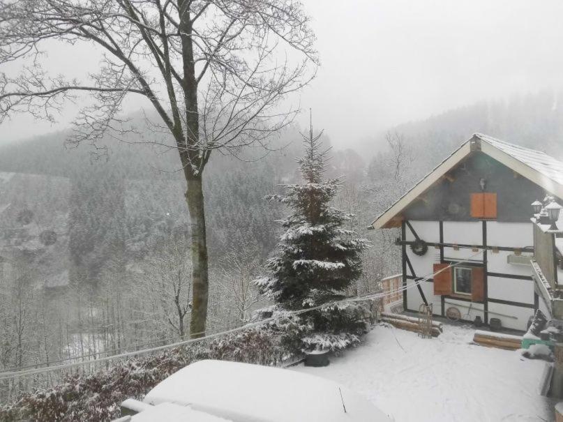 Jagthaus Am Rappelstein Villa Schmallenberg Kültér fotó